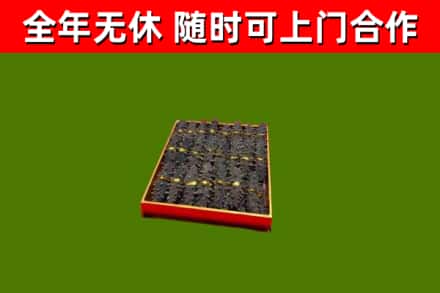 登封市回收海参